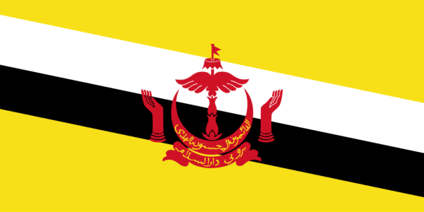 🇧🇳 Brunei (+673)