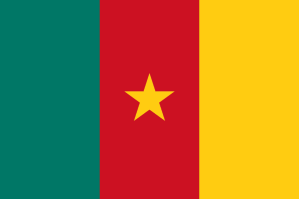 🇨🇲 Cameroon (+237)