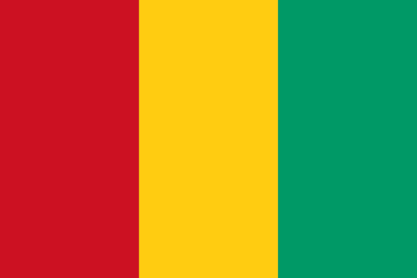 🇬🇳 Guinea (+224)