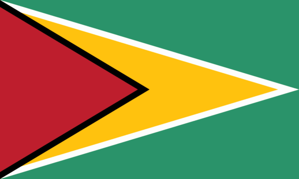 🇬🇾 Guyana (+592)