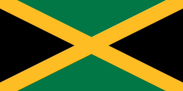 🇯🇲 Jamaica (+1876)