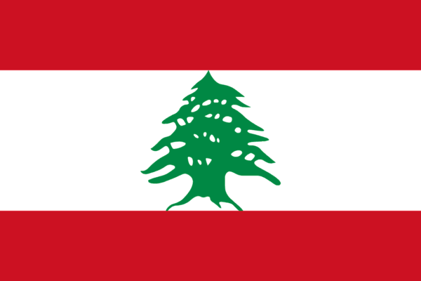 🇱🇧 Lebanon (+961)