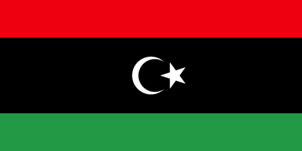 🇱🇾 Libya (+218)