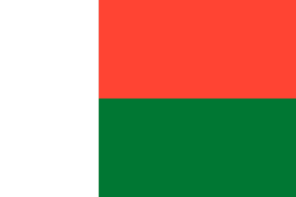 🇲🇬 Madagascar (+261)