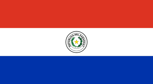 🇵🇾 Paraguay (+595)