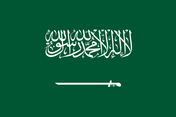 🇸🇦 Saudi Arabia (+966)