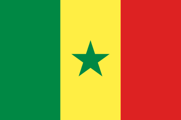 🇸🇳 Senegal (+221)