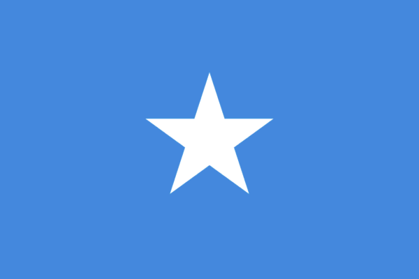 🇸🇴 Somalia (+252)