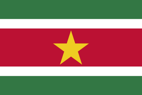 🇸🇷 Suriname (+597)
