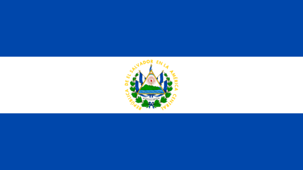 🇸🇻 El Salvador (+503)