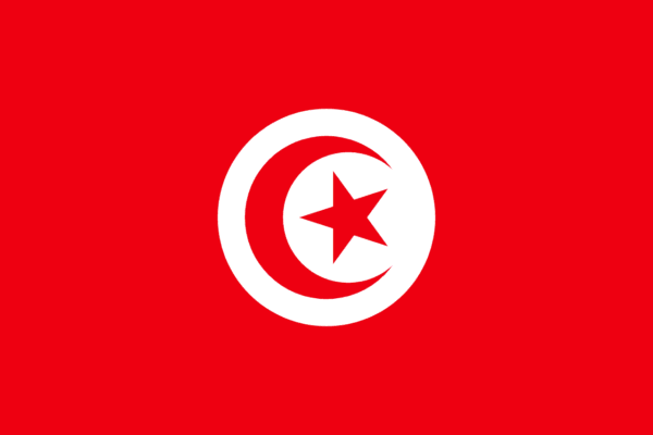 🇹🇳 Tunisia (+216)